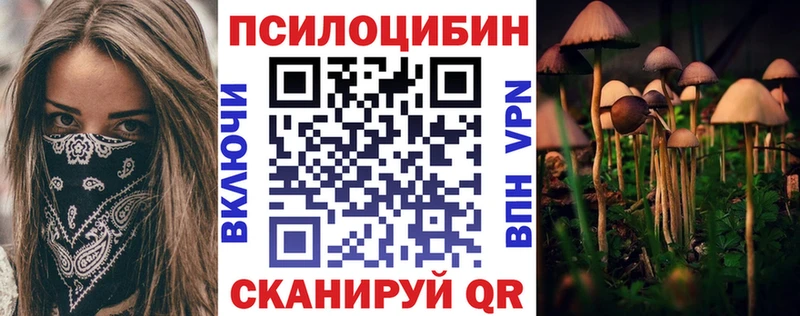Псилоцибиновые грибы Magic Shrooms  KRAKEN ONION  Севск  купить наркотики сайты 